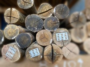 Close em pilha de toras de madeira com extremidades expostas, mostrando rachaduras e padrões de crescimento. Algumas peças possuem placas metálicas ovais com furos, usadas para identificação ou reforço estrutural. O arranjo compacto enfatiza o contraste entre a textura orgânica da madeira e os elementos industriais.