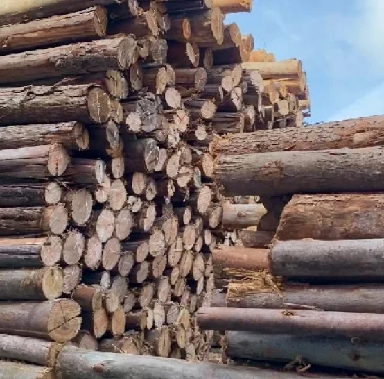 Grande pilha de toras de madeira cortadas, dispostas em diferentes tamanhos e diâmetros, com casca ainda presente em muitas delas. Os cortes circulares ficam voltados para fora, formando padrão visual. Ao fundo, céu azul com nuvens leves, indicando armazenamento externo.