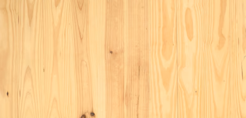 pinus